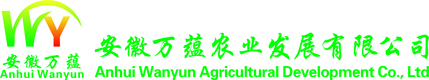 首頁